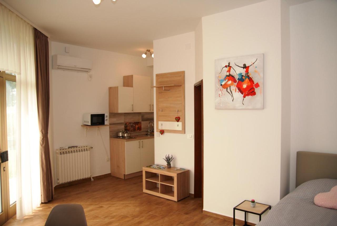 Studio Apartmani Toplicka Bajka Крапинске Топлице Екстериор снимка