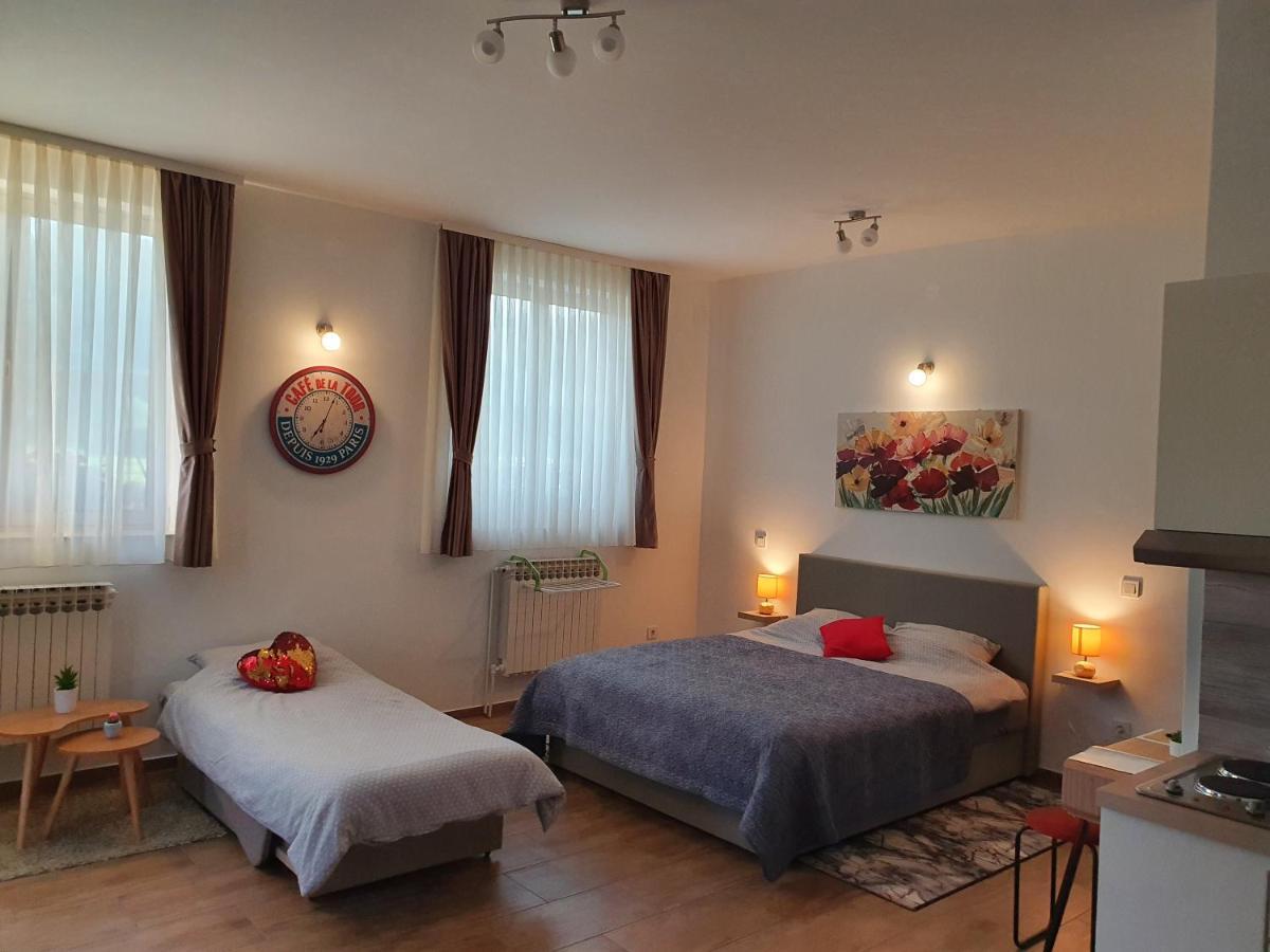 Studio Apartmani Toplicka Bajka Крапинске Топлице Екстериор снимка
